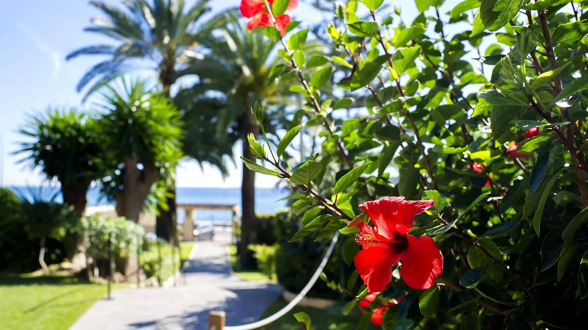 Globales Gardenia Hotel Fuengirola